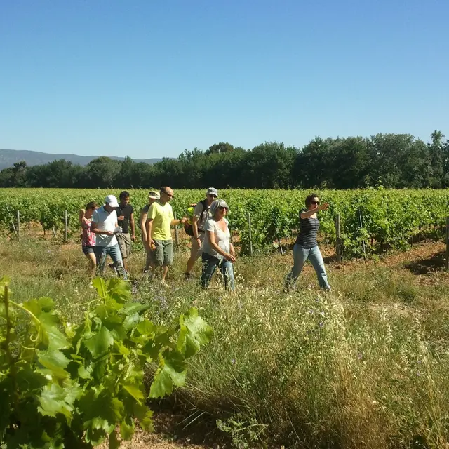 Balade vigneronne à Trets