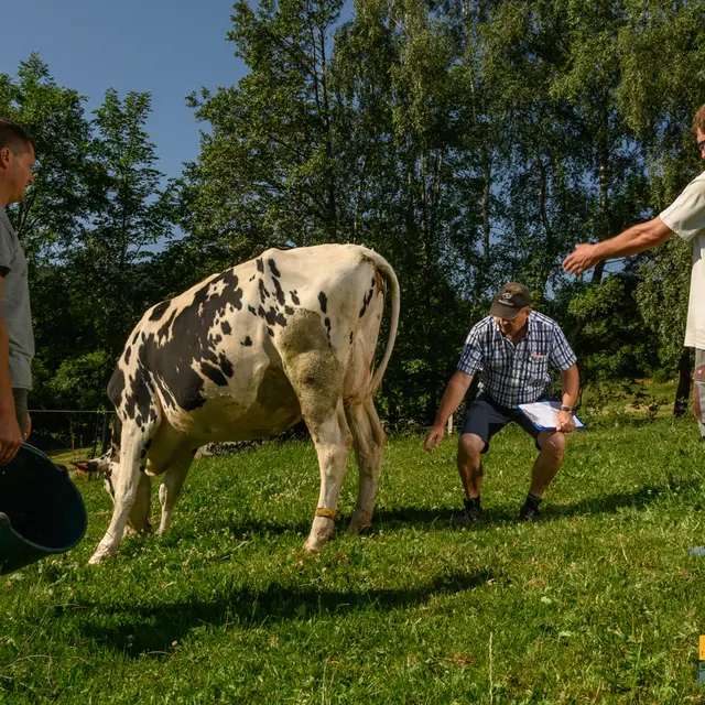 La ferme des Gentianes - visite de ferme_Sauvain