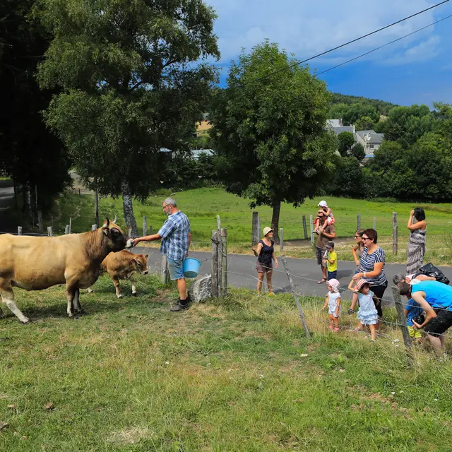 Viviez la ferme en Caldaguès-Aubrac