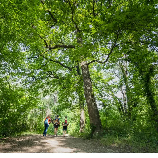 randonnée à l'Islon saint Luc à Chateauneuf du Pape