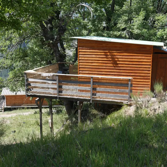 Cabane Chêne