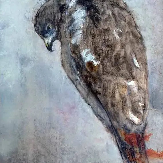 Exposition : La faune sauvage_Pernes-les-Fontaines