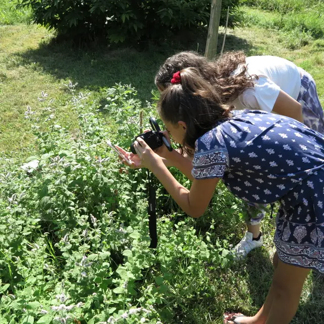 Initiation à la photo macro au Jardin Extraordinaire_Lieurac