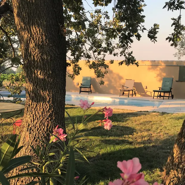 Le Clos - Courthézon