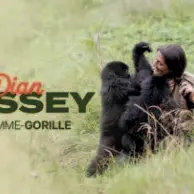 Ciné | Débat - Dian Fossey la femme-gorille_Montauban