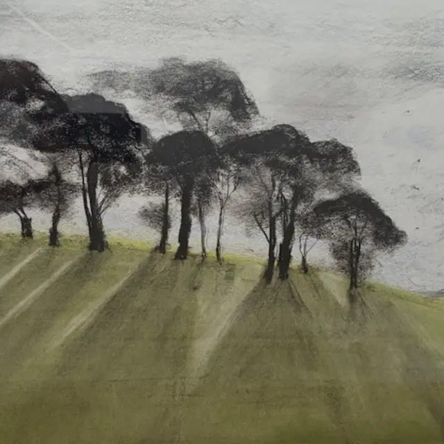 Exposition 'L'arbre dans le paysage' à la Ferme des Arts_Vaison-la-Romaine