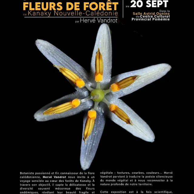 Exposition Photographie_Koné