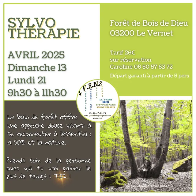 Bain de forêt