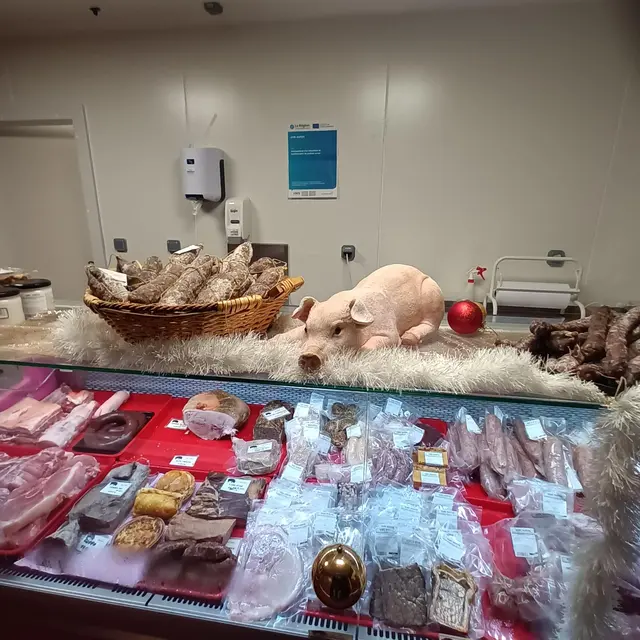 EARL Dupuis_Saint-Just-la-Pendue