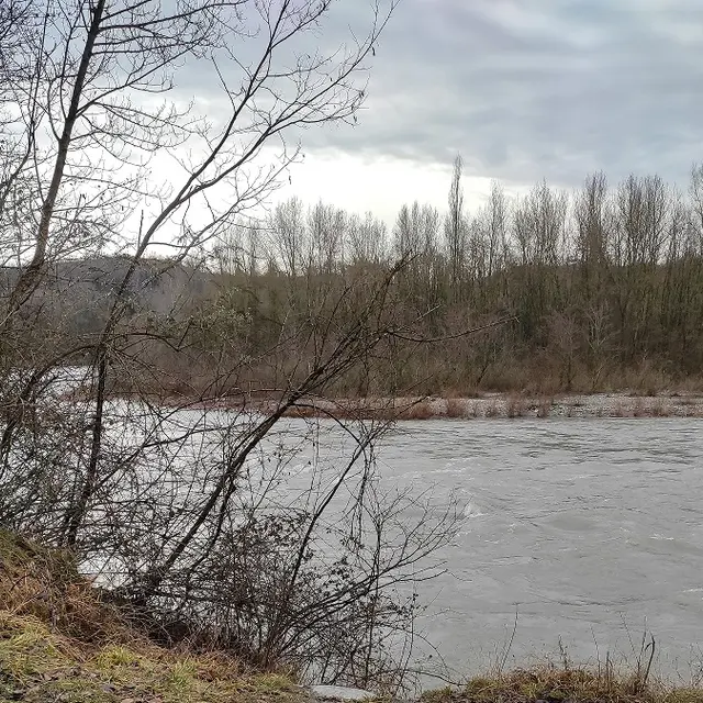 Bord de l'arve