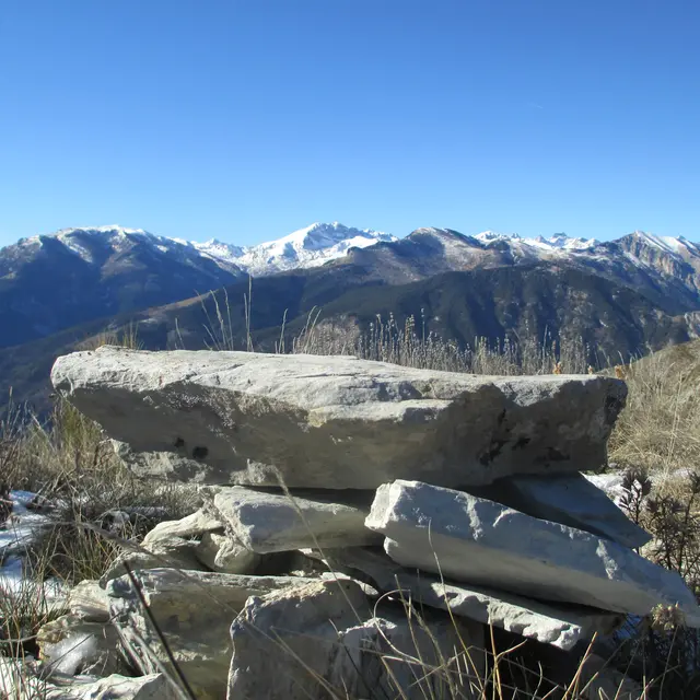 vue du mont bergiorin