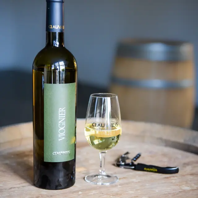 Dégustation et visite de cave