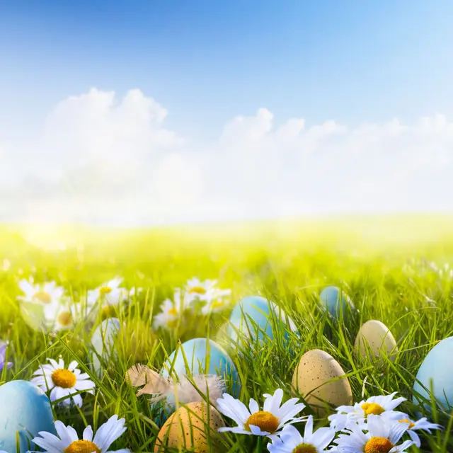 Chasse aux œufs de Pâques