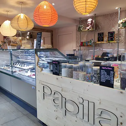 papilla