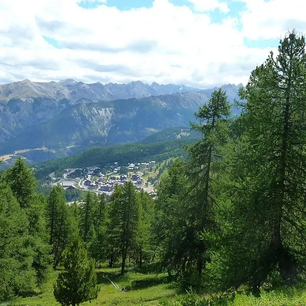 Forêt de Mélèzes Risoul