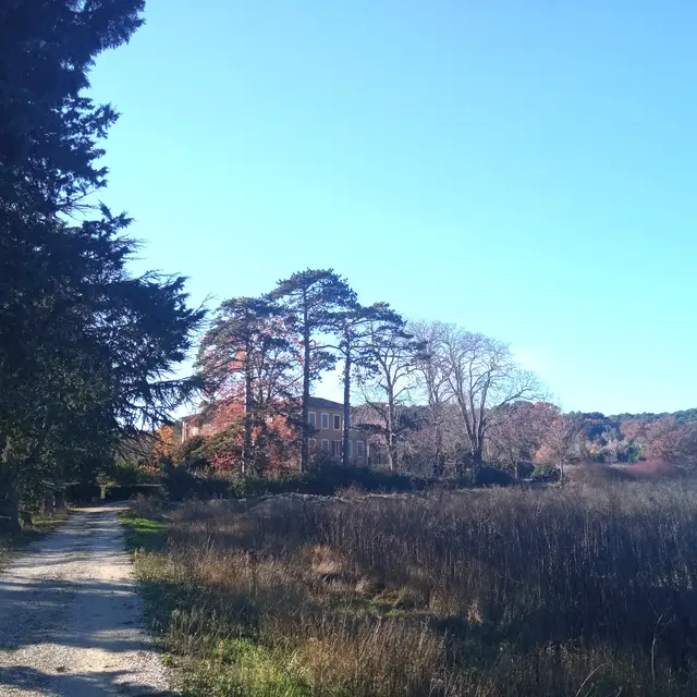 Domaine de Ribbe_Rognes