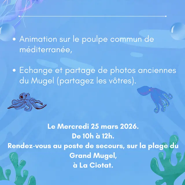 Découverte de la réserve marine du Mugel_La Ciotat