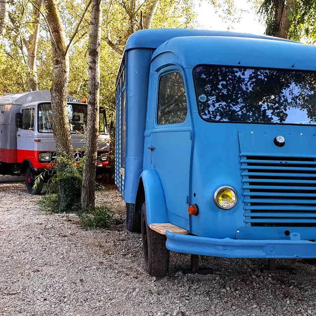 Les Animaux et Marino - Les Truck Lodges_Saint-Andiol