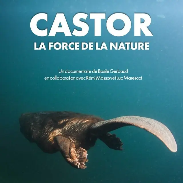 Soirée naturaliste de la Cistude_Château-Arnoux-Saint-Auban