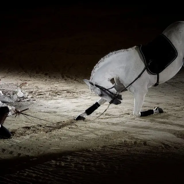 Spectacle 2026/Les 4 saisons et les chevaux/Au Cabaret Équestre des Mylords_Tarascon