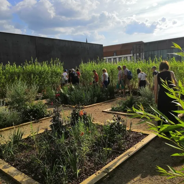 Jardins de la culture