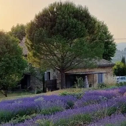 Bastide La Mandarine Bleu Lavande_Apt