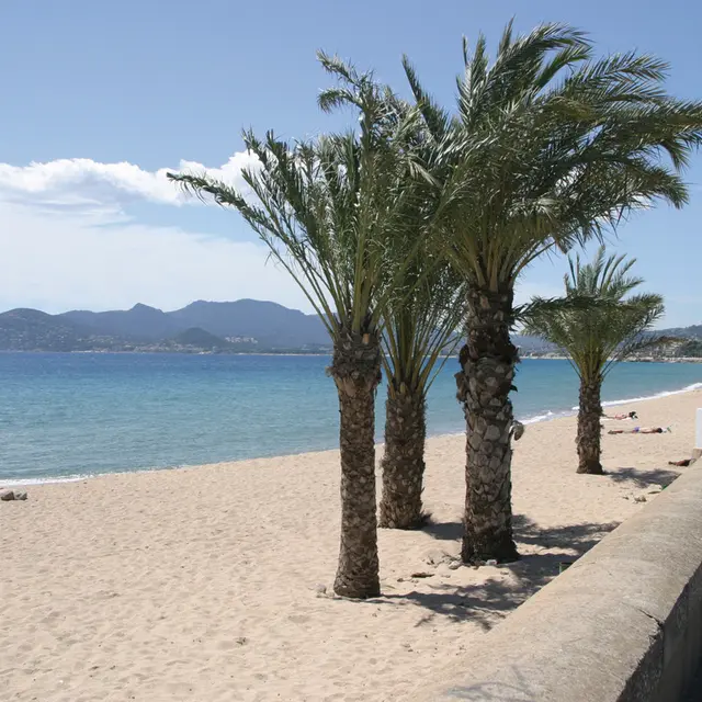 018-cannes-plage-HERZFELD-s