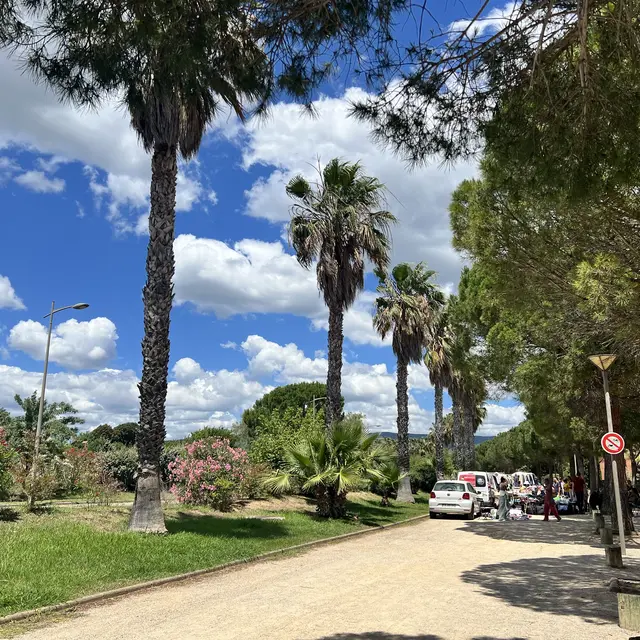 Vide grenier de la Rambla_Saint-Cyr-sur-Mer
