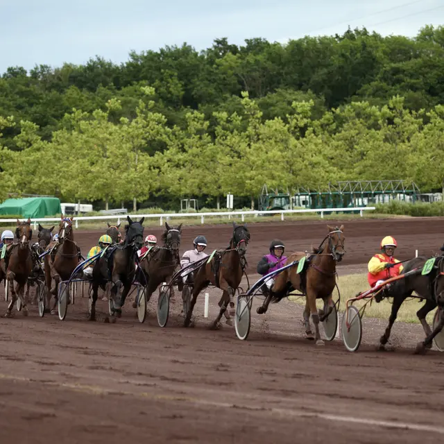 Courses de Trot attelé