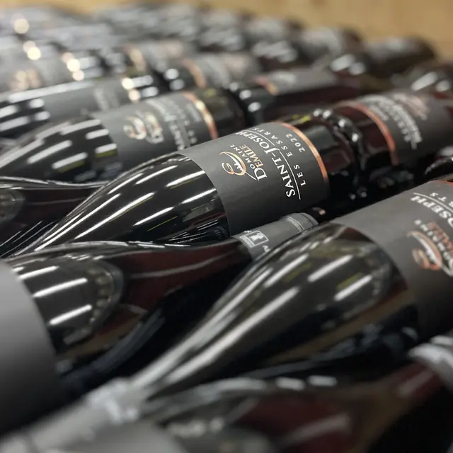 Visite, degustation vin et fromage_Andance