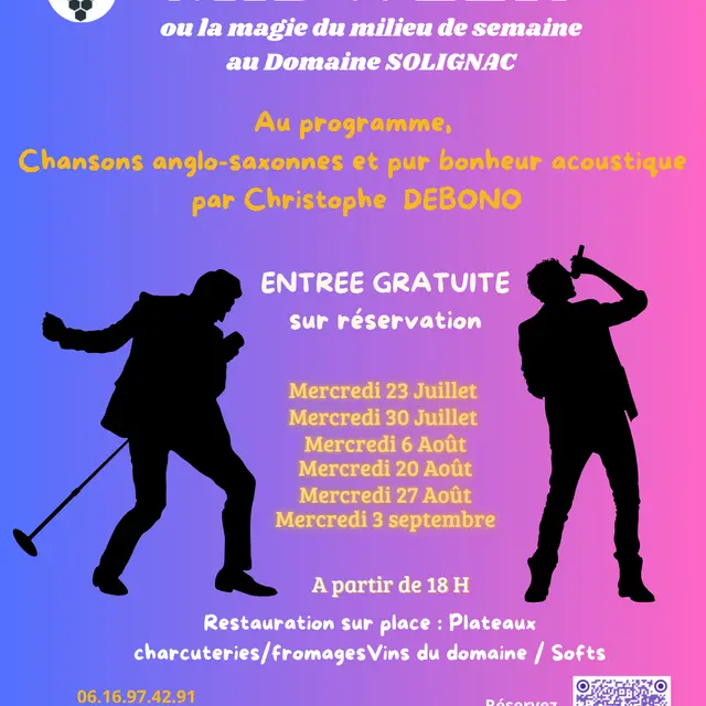 Soirée de chansons anglo-saxonne au domaine Solignac_Hyères
