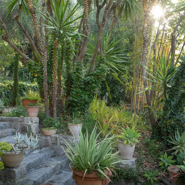 Jardin Clos du Peyronnet