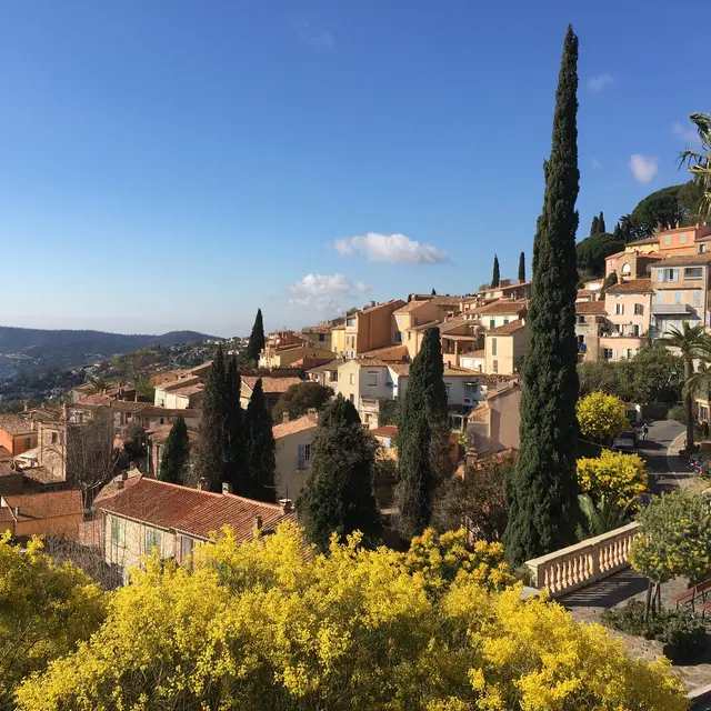 Bormes-les-Mimosas
