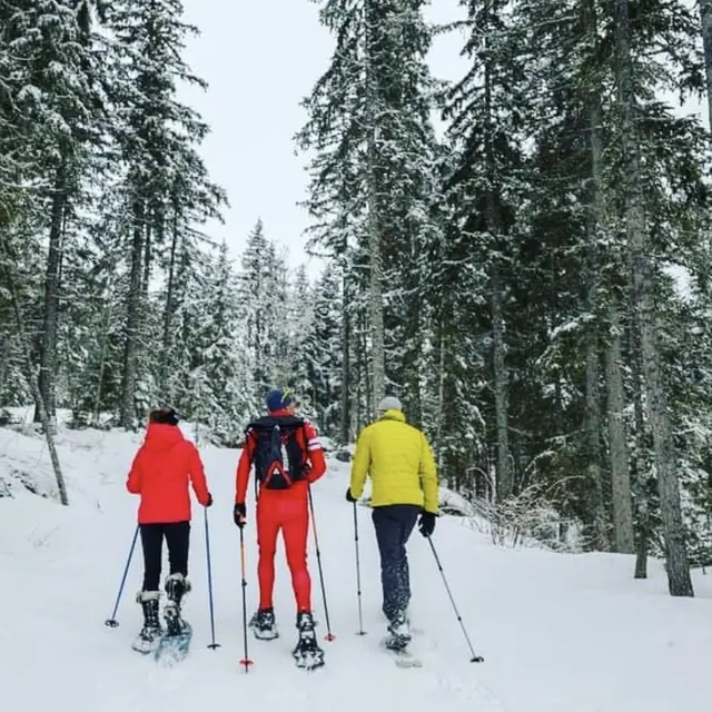 Initiation / encadrement sortie raquettes à neige