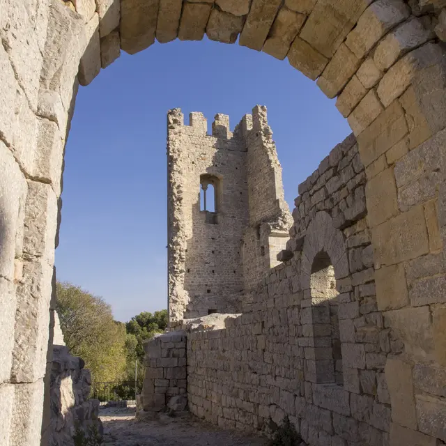Vestiges du château féodal et jardin des Vintimilles_Ollioules