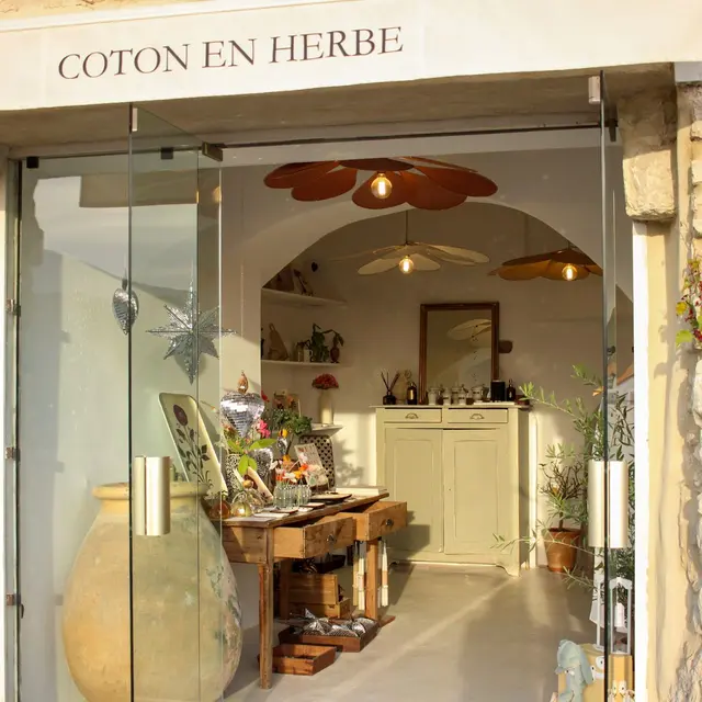 Coton en herbe_Saint-Paul-de-Vence
