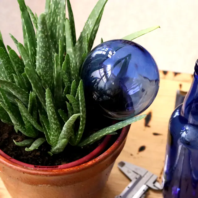 Verre soufflé par Sillycat Glassblower