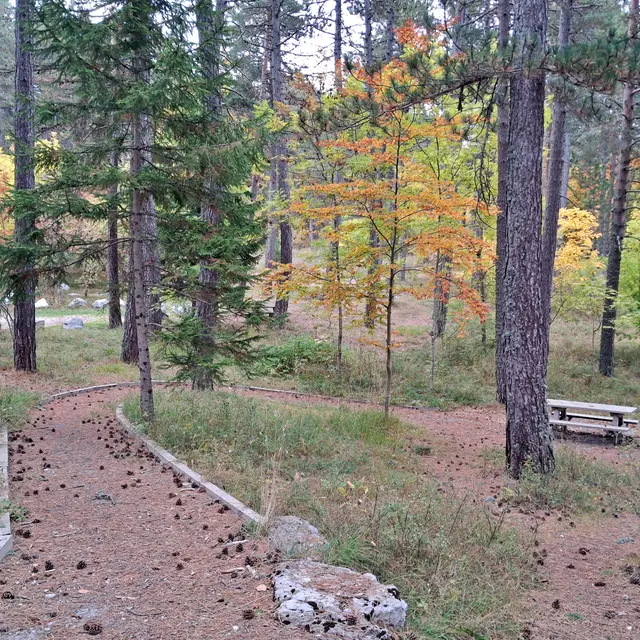 Aire de pique nique du Col de Fontbelle