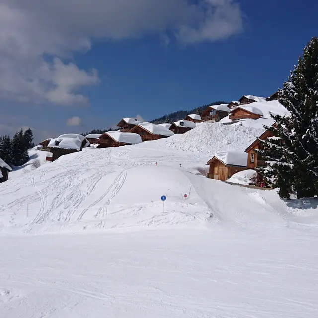 Front de neige Bisanne 1500