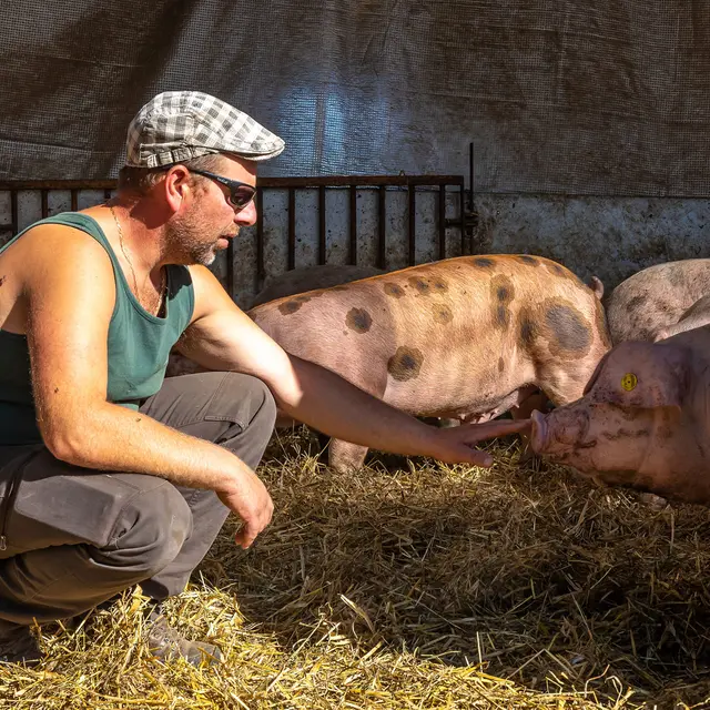 LA Ferme des Bichoux