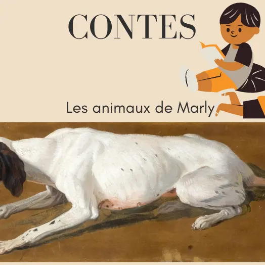 Contes