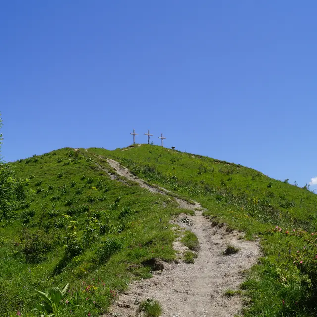 Boucle Trail N°21