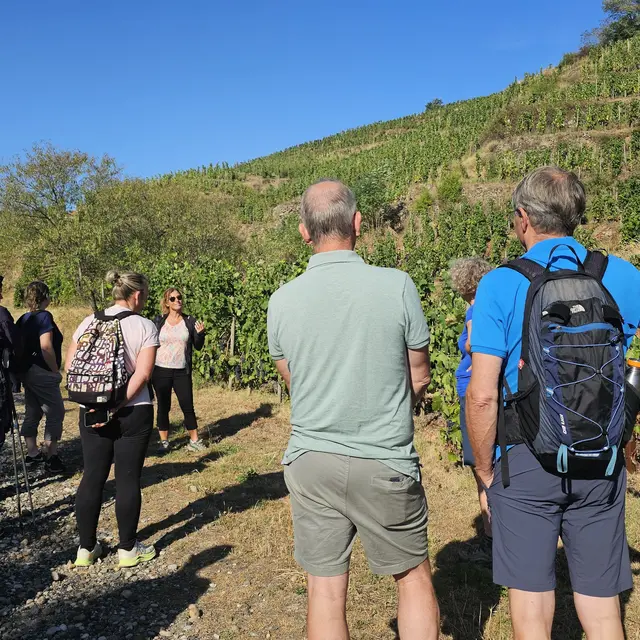 Rando Wine au Domaine François Grenier_Champagne