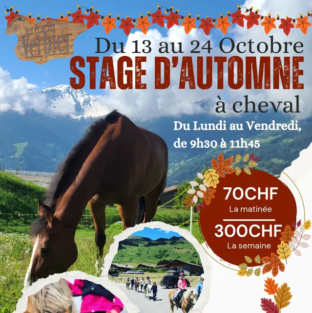Stage d'équitation - Les Écuries de Verbier_Val de Bagnes