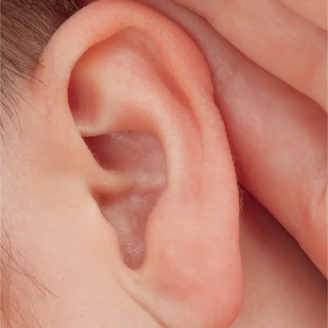 Atelier Altec (3-5 ans) - Découvre le son_Bourg-en-Bresse