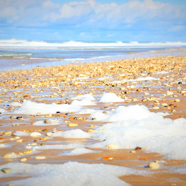 Écume sur la plage