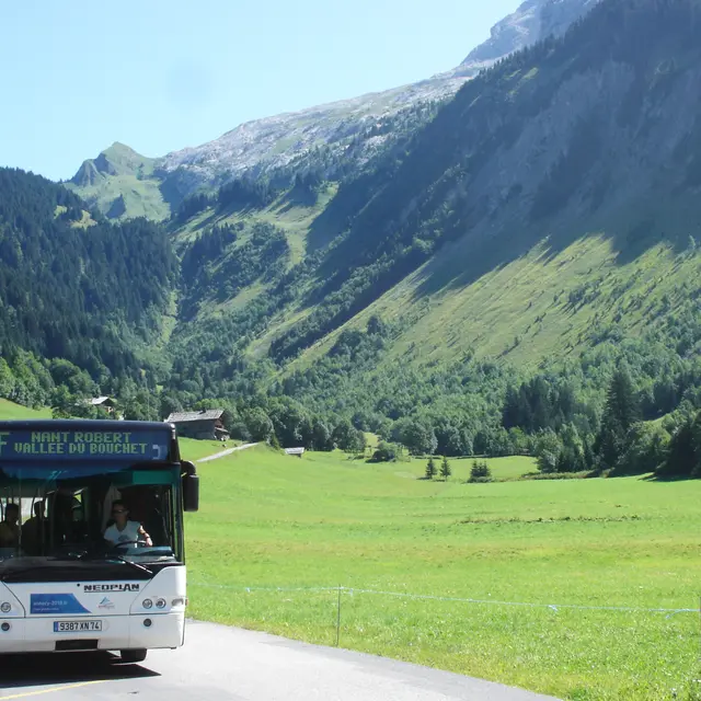 Bus été
