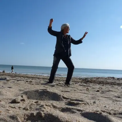 Cours et stage de Tai Chi intégral à Loix_Loix