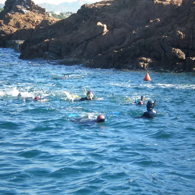 Randonnée palmée - Port de Boulouris