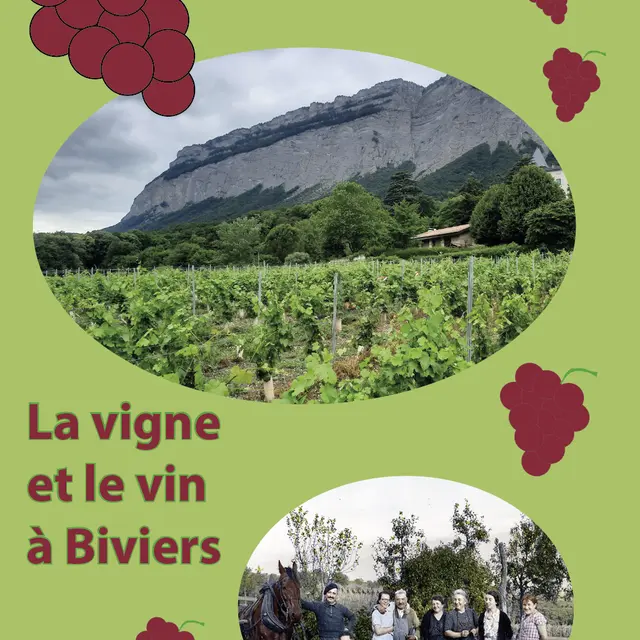 vigne_et_vin_a_biviers.png